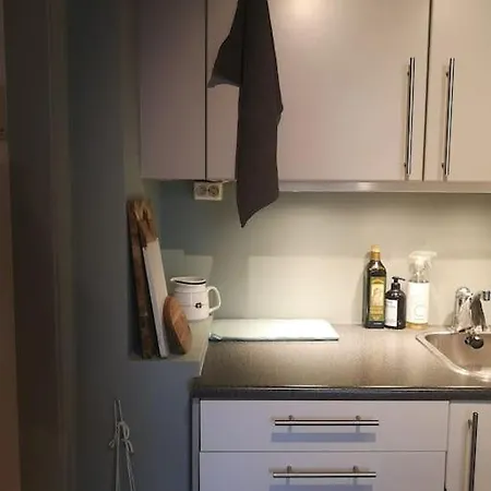 Classic Oslo-appartment *